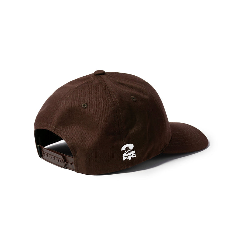 ROYALTY SNAPBACK