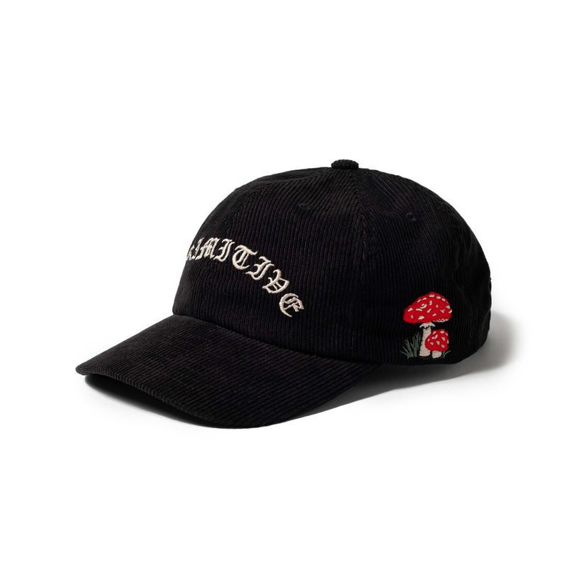 COLLECTOR STRAPBACK