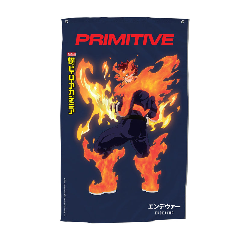 ENDEAVOR BANNER
